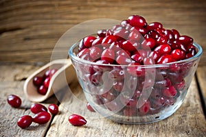 Cornel or dogwood berry