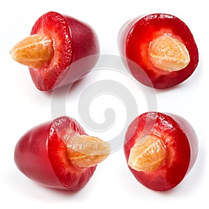 Cornel. Half isolated on a white.