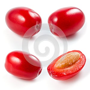 Cornel isolated on a white. Collection