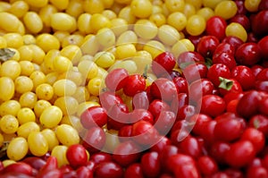 Cornelian Cherry - European Cornel