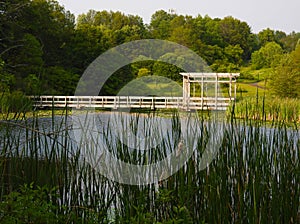 Cornell Botanic Garden pond gazebo and walkway bridge