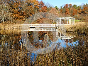 Cornell Botanical Gardens Pond Pergola in Autumn