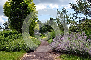 Cornell Botanical Gardens upper drive garden