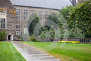 Cornell rain wets the sidewalk to the law library