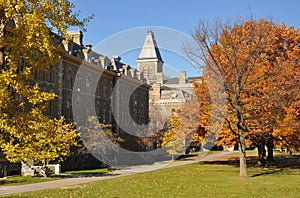 Cornell University
