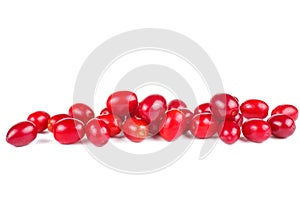 Cornels isolated on a white background