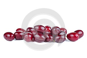 Cornels isolated on a white