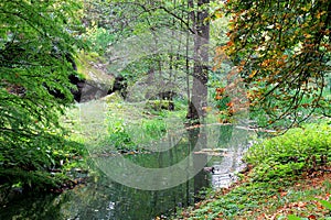 Corner of autumn forest with a small river