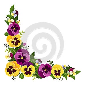 Corner background with pansy flowers. Vector illustration.