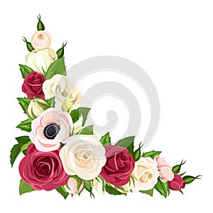 Corner background with red, pink and white flowers. Vector illustration.