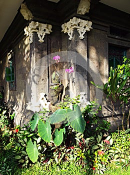 Corner of Balinese garden