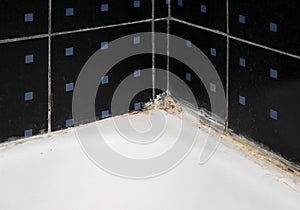 Corner of bathtub with mold on white sealant