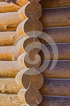 Corner of blockhouse from logs. Texture of logs from the wooden house