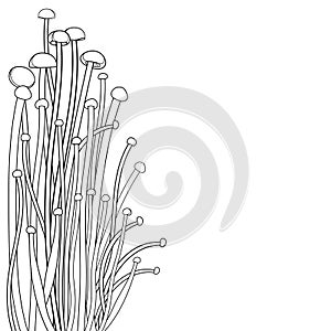 Corner bunch with outline Enoki mushroom or Flammulina filiformisin in black isolated on white background.