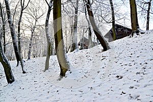 Corner of the Central park with the wooden lock of an hunting on the hill photo