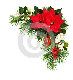 Corner Christmas arrangementwith poinsettia flowers, green spruce twigs and berries isolated on white