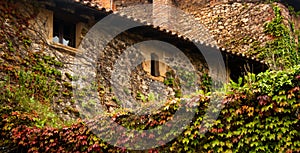 Corner of church with vegetation