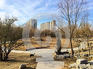 A corner of city park in winter