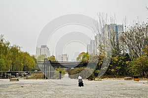 A corner of city park in winter