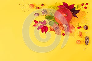 Corner composition from pumpkin, colorful leaves, chestnuts and berries on yellow background. Concept of fall harvest