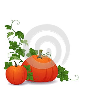 Corner composition pumpkins, leaves and vines