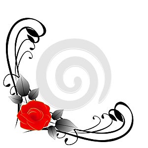 Corner composition with red rose, illustration isolated on white background.