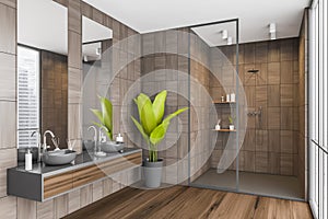 Corner of dark beige shower room with big green plant