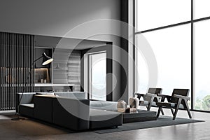 Corner of dark grey panoramic living room with background kitchen