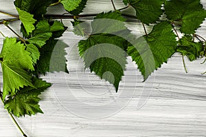 corner frame made of grape leaves on a painted white wooden background