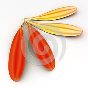 Corner of Gerbera Petals