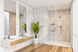 Corner of grey beige shower room with big green plant