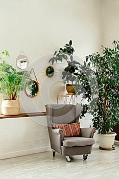 Corner of a living room with gray armchair, bookcase and plants