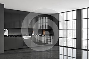 Corner of modern grey kitchen space with a panoramic view