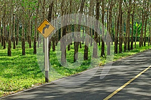 Corner in the road with sign and rubber trees in quaint rural to