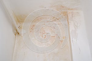 corner of room, dilapidated walls and wet ceiling, gray mold on plaster, concept destruction of buildings from dampness, neighbors