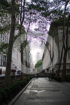 The corner space between New York Library and street