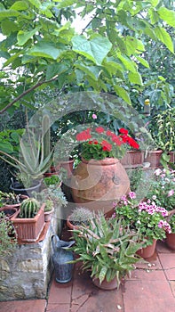 A corner of a terrace in cotto in Chianti Tuscany Italy photo