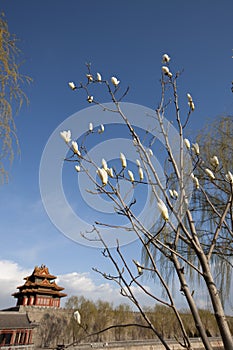 The corner tower of The Forbidden City