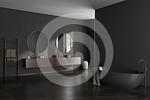 Corner view on dark bathroom interior with bathtub, double sink