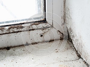 Corner of window frame with mold fungus