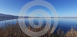 Corners of paradise: the western lagoon of Orbetello