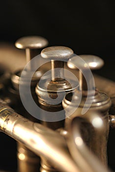 Cornet musical instrument.