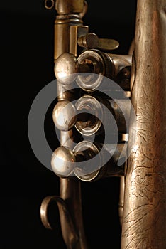 Cornet musical instrument.