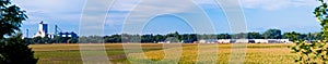 Cornfield in central Colorado, USA