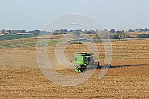 Cornfield Harvest