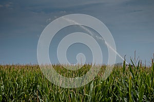 Cornfield irrigation with lug pump