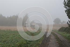 Cornfield mist and rainy day