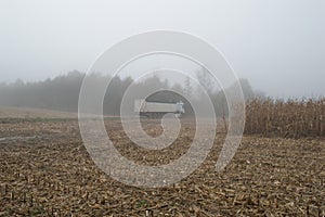 Cornfield mist and rainy day