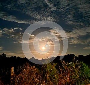 Cornfield Moon Tennessee