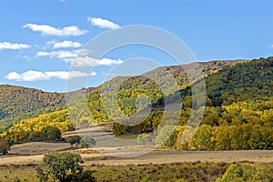 cornfield and mountain forest in the autumn